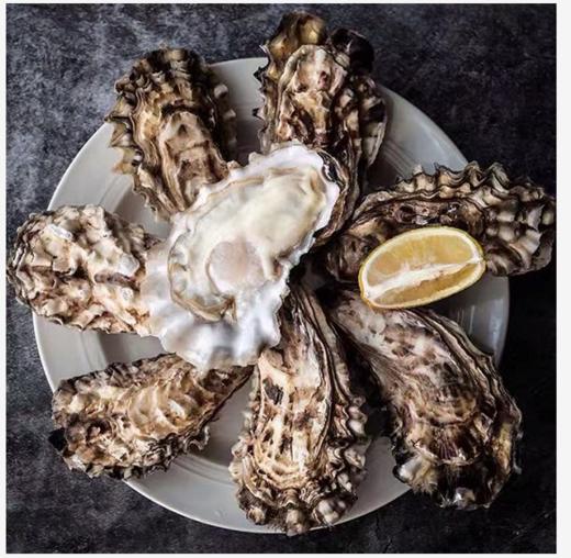 【顺丰包邮】青岛生蚝海蛎子鲜活新鲜5斤大号海鲜牡蛎贝壳即食水产 商品图3