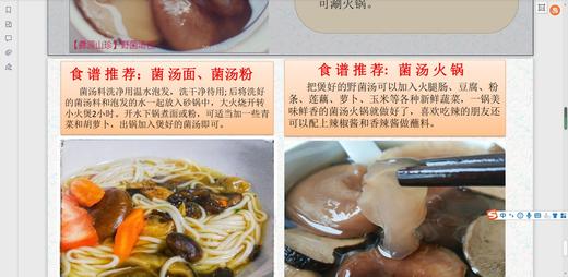 【彝源山珍】野菌汤包：报敬畏之心！享天然美食！ 商品图6