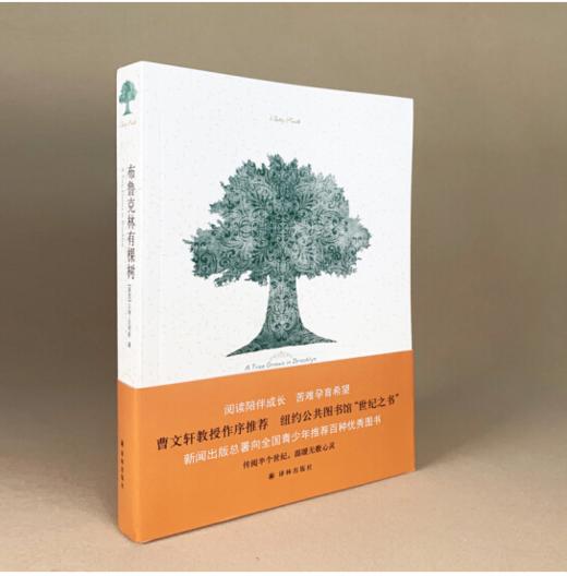 布鲁克林有棵树   5年级正版现货速发|名师推荐|小学生课外阅读五年级 商品图3