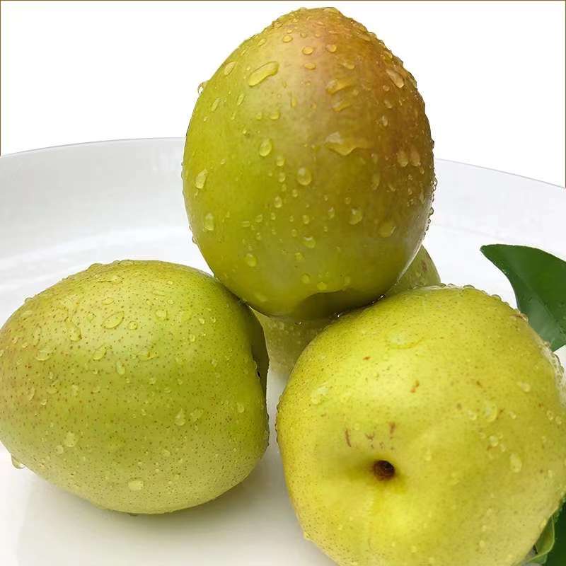 森农  新疆特级香梨5斤装/6.5-7斤装