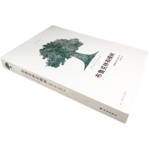 布鲁克林有棵树   5年级正版现货速发|名师推荐|小学生课外阅读五年级 商品图4