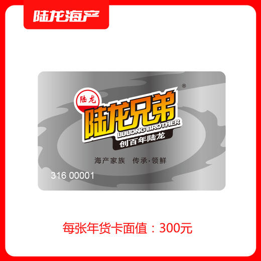 990300陆龙IC卡300 商品图0