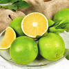【新鲜水果】佳沃 实建褚橙优级3kg 单果果经60-65mm 商品缩略图3