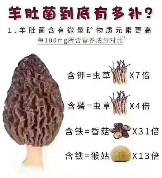 【彝源山珍】野菌汤包：报敬畏之心！享天然美食！ 商品图3