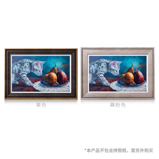 【折扣商品 不退不换】1000片 平面拼图 塑料拼图 H2611 Lucie Bilodeau-貓咪探索中 商品图2