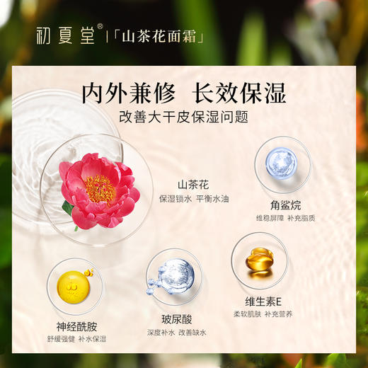 初夏堂山茶花水润保湿面霜 商品图1