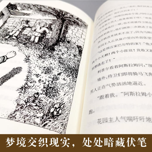 寻梦奇遇记   四年级正版现货速发|名师推荐|小学生课外阅读4年级课外读物 商品图1