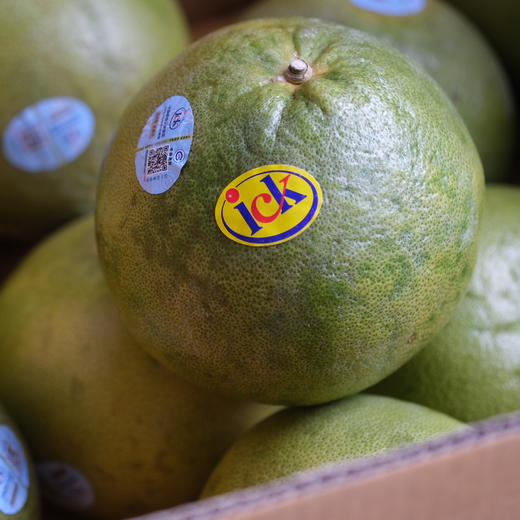 〔上海直发包邮06〕泰国ick柚 商品图1