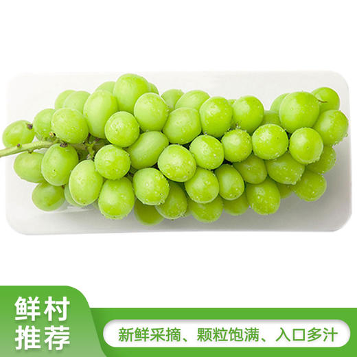 晴王葡萄一串 【约1250g】 按实际重量多退少补 商品图0