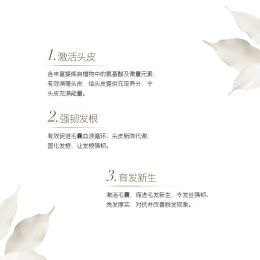 Leonor Greyl 更生活化精华素24*5ml 商品图1