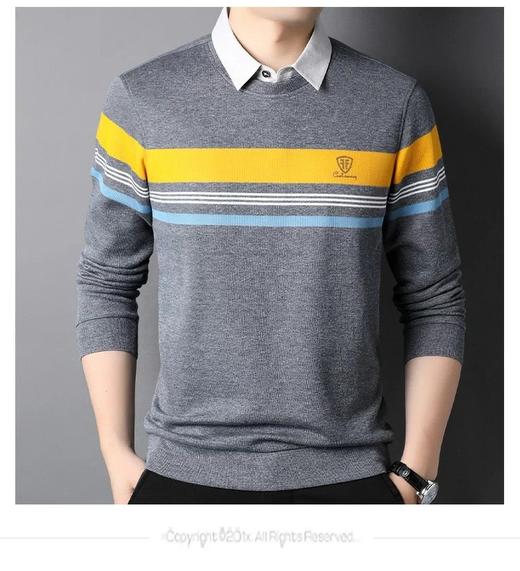 男反领长T2616 商品图3