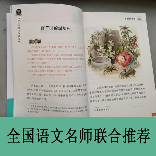 小学生鲁迅读本   6年级正版现货速发|名师推荐|小学生课外阅读六年级 商品图2