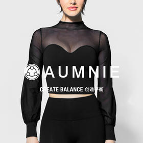 网纱幻觉灯笼袖露脐上衣 / MESH ILLUSION PUFF SCT