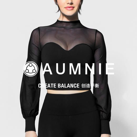 网纱幻觉灯笼袖露脐上衣 / MESH ILLUSION PUFF SCT 商品图0