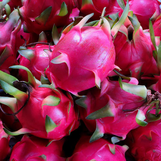 广西金都一号火龙果超大果5斤实惠装 单果400-500克 （4-6个）【新鲜水果】佳沃 商品图1