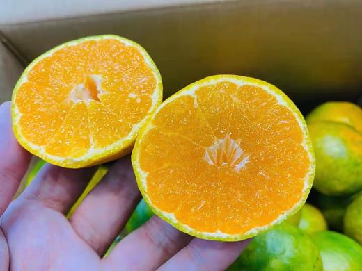 浙江台州玲珑蜜桔1箱35斤左右口感纯甜无酸肉嫩多汁入口无渣