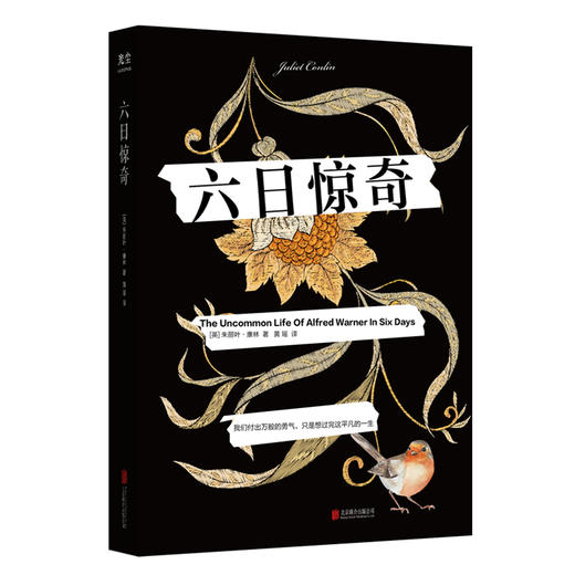 六日惊奇 商品图0