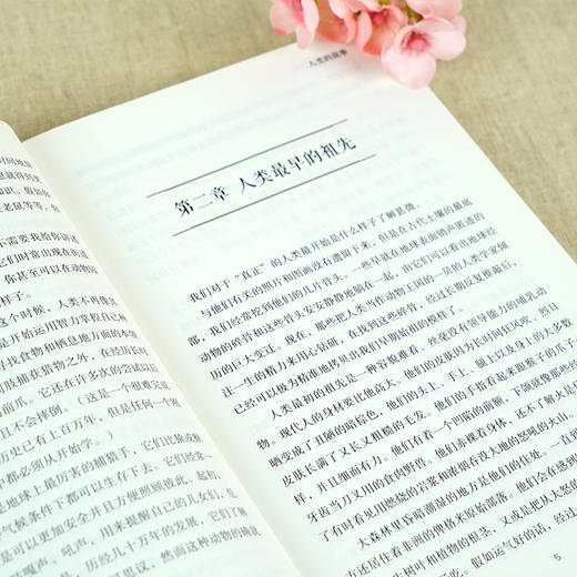 纽伯瑞儿童文学奖金奖套装全12册 商品图3