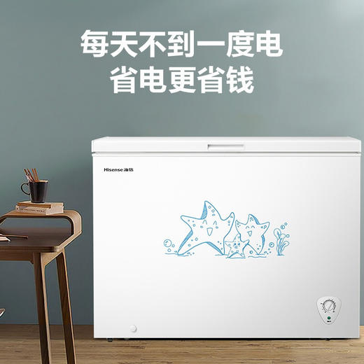 海信 (Hisense)  301升 家用商用卧式冰柜 大容量冷藏冷冻转换冷柜 节能省电单温冰箱 BD/BC-301NA 商品图3