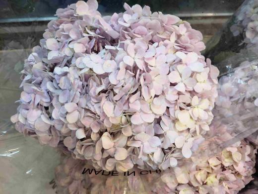 配花-绣球-粉紫-1枝 商品图1