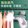迷你挂烫机家用手持式手拿熨烫机 商品缩略图2