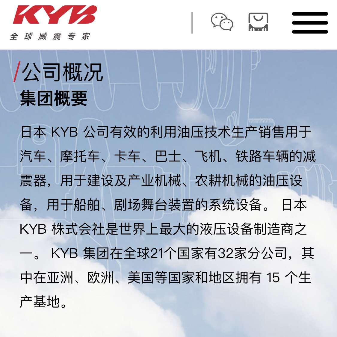 KYB 日本避震 全系列产品 黑桶 黄桶 蓝桶 银桶 灰桶 | KYB官方产品，正品行货