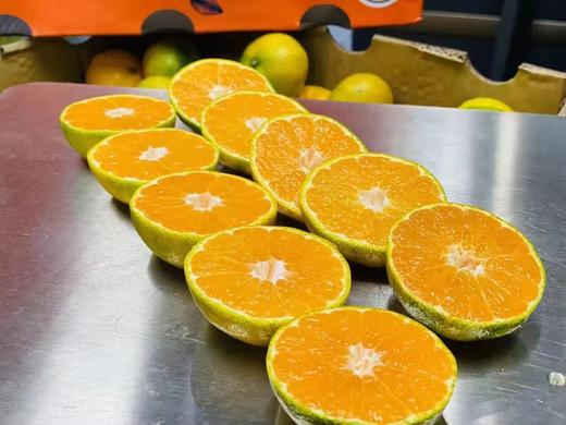 浙江台州玲珑蜜桔1箱35斤左右口感纯甜无酸肉嫩多汁入口无渣