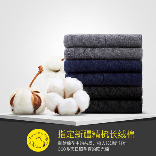 TEAL2021款秋冬抗菌防臭纯色棉袜 商品图1