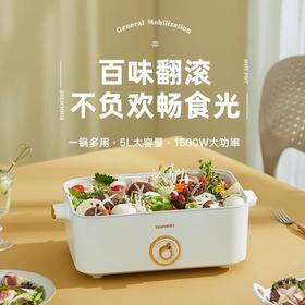 大宇 S13多功能一体式电火锅5L大容量  [福利品]