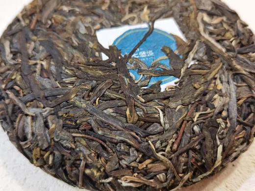 2021春 高杆橡筋（国有林高杆古树）普洱 生茶 200克 商品图3