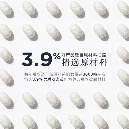 【蚕丝被】桑蚕丝冬被二合一子母被 40支全棉提花抑菌面料 蚕丝被芯被子 白色（全棉提花面料） 220*240cm【适用1.8m床】被子 商品图1