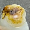 和田玉（白玉）籽料挂件--龙龟贺寿245.42g 商品缩略图7
