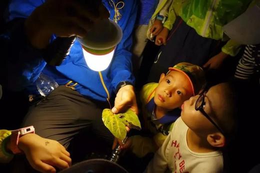 夜观 | 黑夜小侦探 商品图3