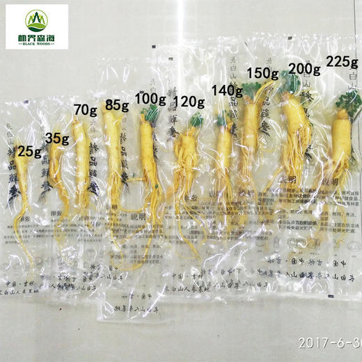 【食品酒水】林界森海东北长白山土特产新鲜保鲜人参煲汤火锅泡酒料地摊保鲜参 商品图4