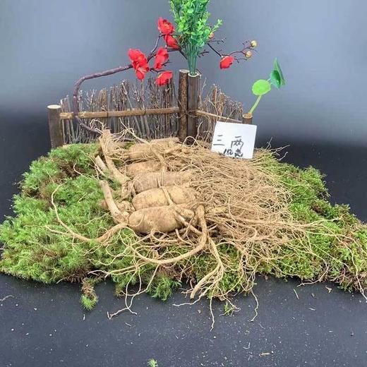 【食品酒水】东北特产长白山人参带土鲜参多规格多用途 商品图2