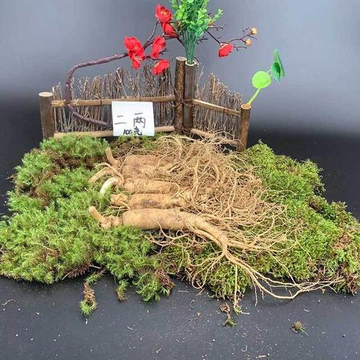 【食品酒水】东北特产长白山人参带土鲜参多规格多用途 商品图1