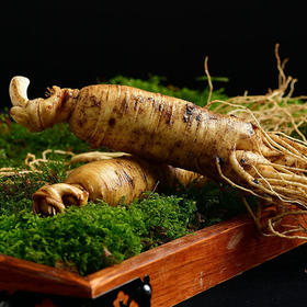 【食品酒水】新鲜人参长白山人参500g泡酒滋补煲汤东北特产