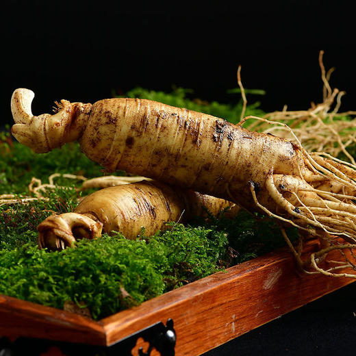 【食品酒水】新鲜人参长白山人参500g泡酒滋补煲汤东北特产 商品图0