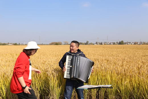 2021新稻收割报名开始！ 商品图3