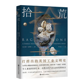 拾荒 : 打捞出的英国工业文明史