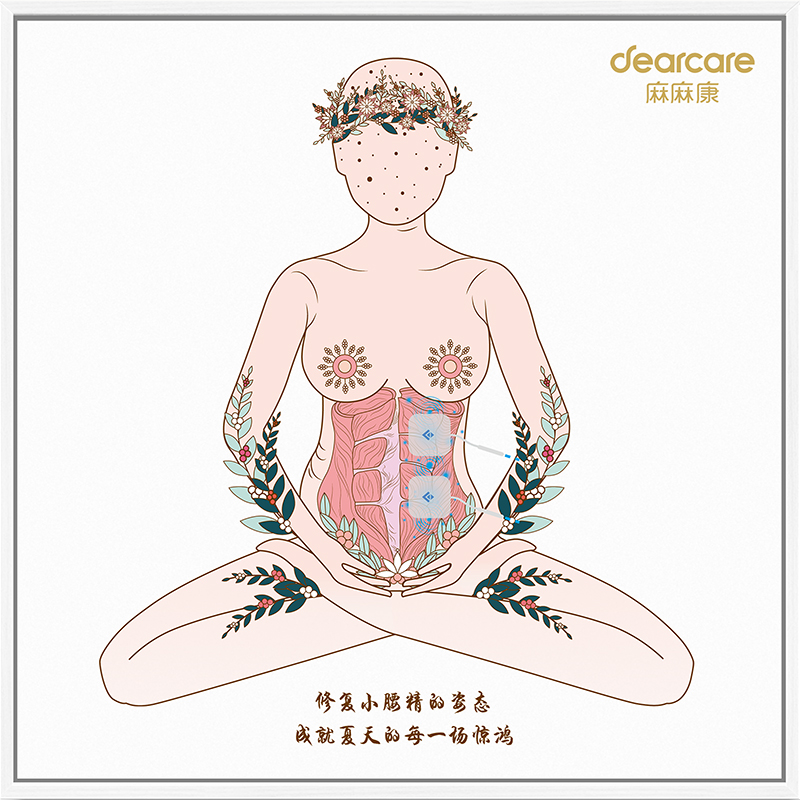 产后康复人体解剖艺术壁画9个主题-盆底肌、腹直肌、胸部等