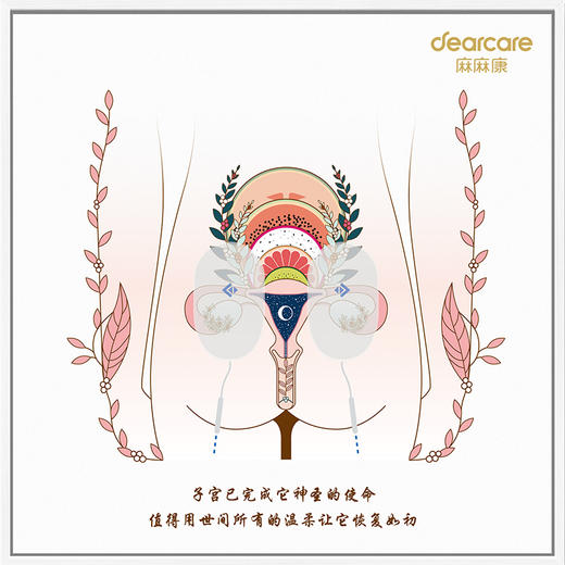 产后康复人体解剖艺术壁画9个主题-盆底肌、腹直肌、胸部等 商品图6