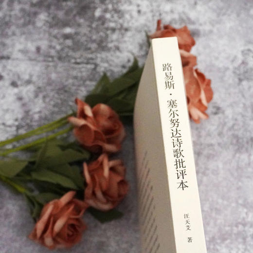 路易斯 塞尔努达诗歌批评本 十九首诗歌批评本丛书 西班牙语诗人塞尔努达诗学 商品图2