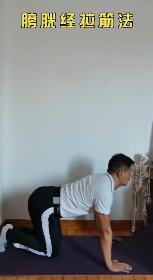 膀胱经拉筋法 商品图0