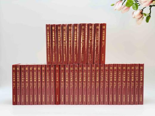 重点推荐：《美术丛书》全40册 商品图0