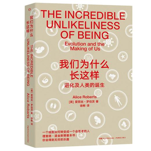 我们为什么长这样 商品图0