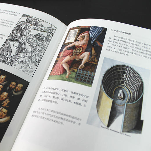 身体的历史（三卷本）3册套 傅雷翻译奖入围作品 西方完整的关于身体研究的文化史作品 商品图5