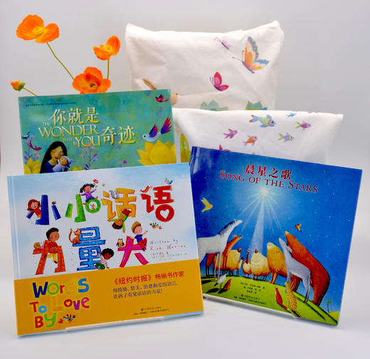 爱语奇迹系列绘本3册《小小话语力量大》《晨星之歌》《你就是奇迹》 商品图0