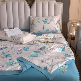 【欧贝尔专场】兰精天丝大豆纤维空调被