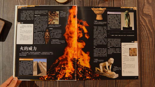 《DK科学大百科》 引进自英国DK出版社——全球百科图书的开创者和引领者 科学的视觉盛宴 商品图7
